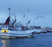 Fiskebåt.