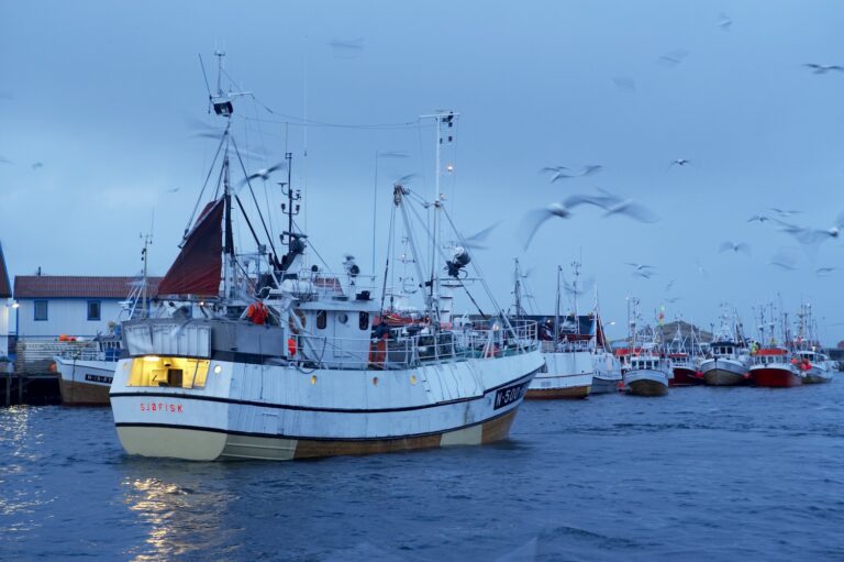Fiskebåt.