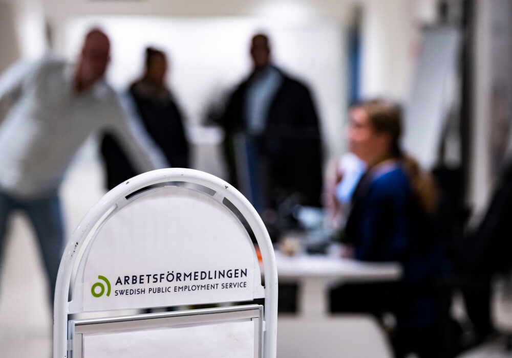 Enligt Arbetsförmedlingen bidrog it-systemens utformning till situationen.